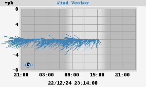 Wind Vector